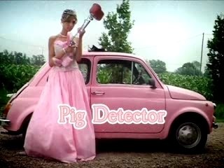 The Princess weapon: How Piggy find the little Piglets