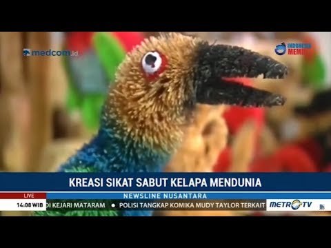 Sabut Kelapa Deli Serdang Go International !