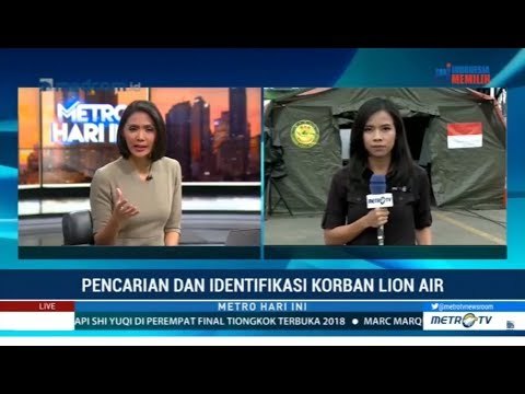 Di Hari ke-11, Sebanyak 231 Personil Mencari Korban dan CVR Lion Air PK-LQP