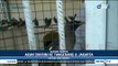 Balai Karantina Cilegon Gagalkan Penyelundupan Ribuan Burung