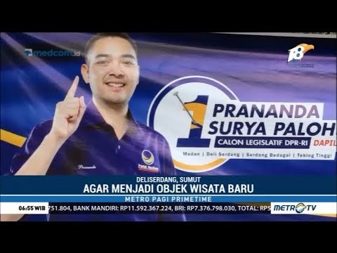 Prananda Paloh Serahkan Tiga Ribu Bibit Mangrove untuk Deli Serdang