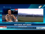 Polisi Selidiki Dalang Kaburnya Ratusan Napi di Aceh