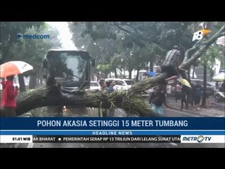 Скачать видео: Bogor Diterpa Hujan Angin Kencang, Sebuah Pohon Besar Tumbang