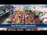 Raup Untung di Kampung Kaktus