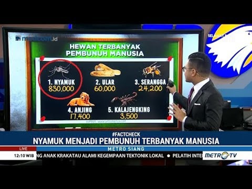 DBD Mengancam Dunia