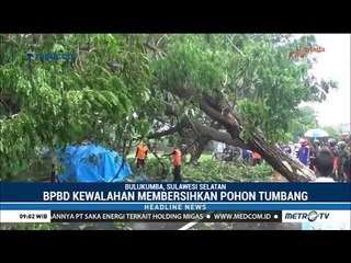 Seorang Pengendara Motor Tertimpa Pohon di Bulukumba