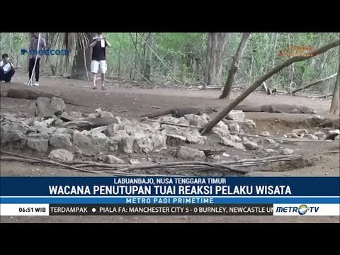 Wacana Penutupan Taman Nasional Komodo Tuai Reaksi Pelaku Wisata