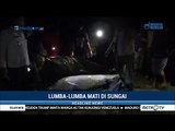 Seekor Lumba-lumba Ditemukan Mati di Sungai Kualuh Labuhanbatu