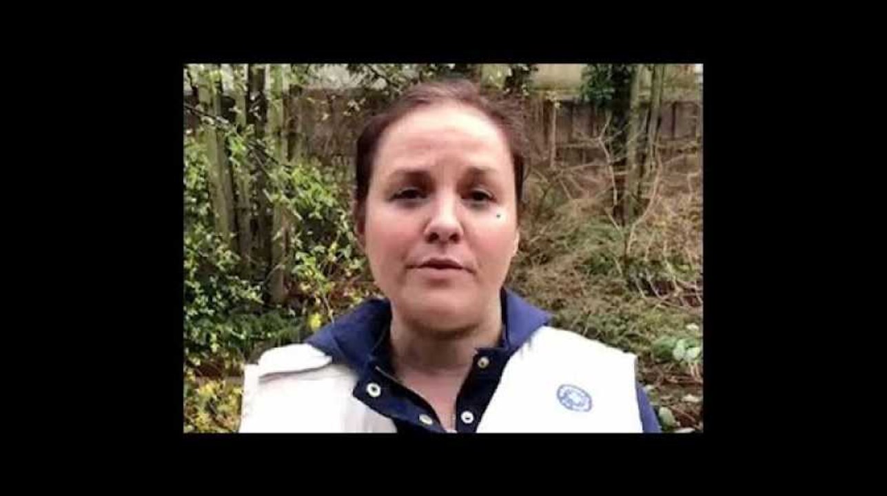 BLOG - D'autres pays réussissent, la France doit proposer un logement à tous les sans-abris