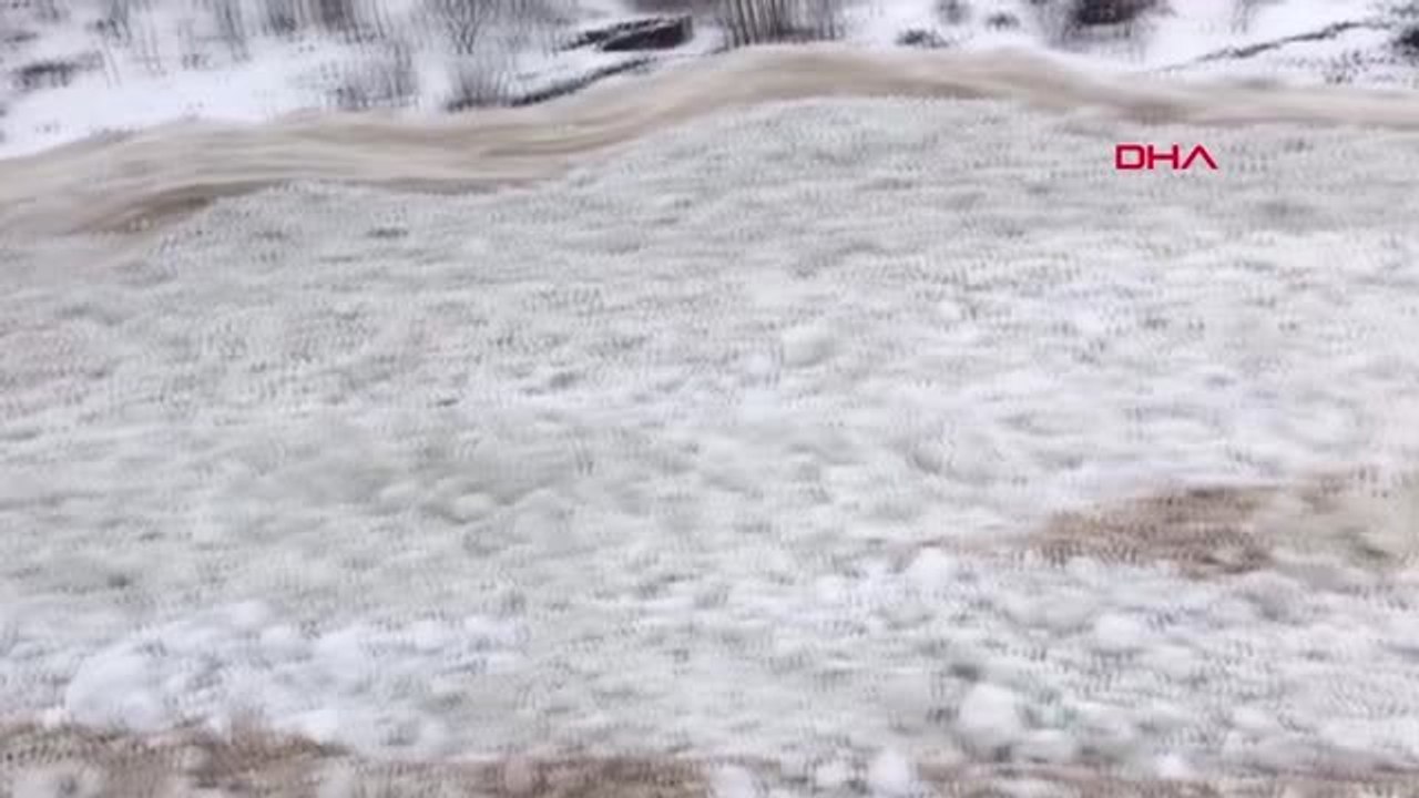 Hakkari Çukurca'da Ahırların Üzerine Çığ Düştü; Küçükbaş 50 Hayvan Telef Oldu