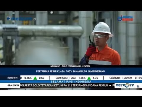 Mantap! Pertamina Ambil Alih Blok Jambi Merang