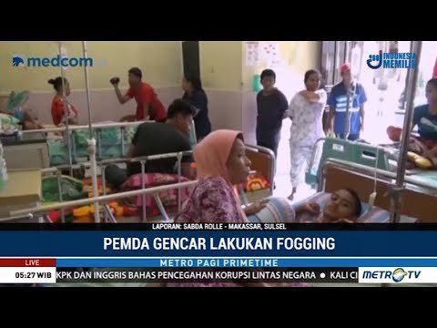 Kasus DBD di Pangkep dan Bulukumba Meningkat