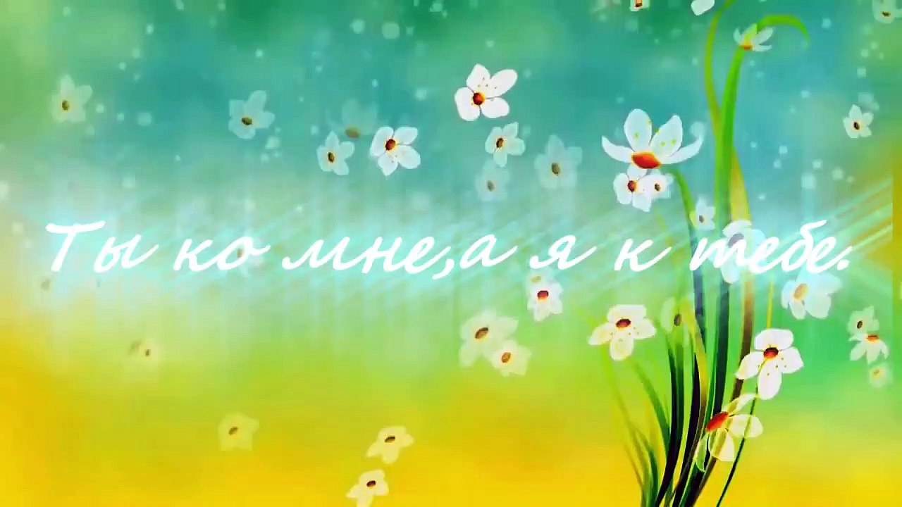 Adini Sen Koy Ты ко мне ,а я к тебе