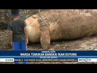 Ikan Langka Ditemukan Mati di Pantai Karimun