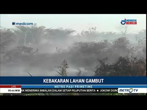 Kebakaran Lahan Gambut di Aceh Barat Semakin Meluas
