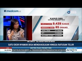 Waspadai Nyamuk Demam Berdarah di Dalam Rumah Anda