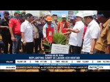Replanting Lahan Sawit Rakyat 420 Hektare di Riau