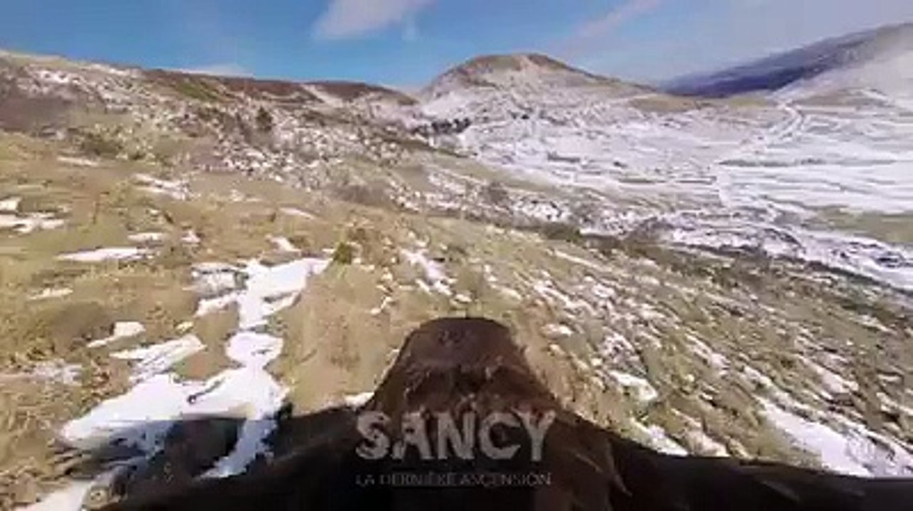 Les sublimes images du vol dun aigle au-dessus des monts dAuvergne