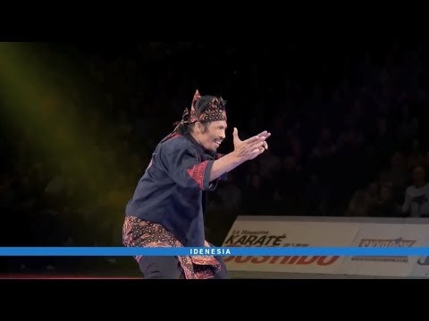 Highlight Idenesia - Pencak Silat Menembus Dunia