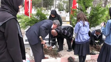 Öğrencilerin yetiştirdiği güller şehit kabirlerine dikildi - TOKAT