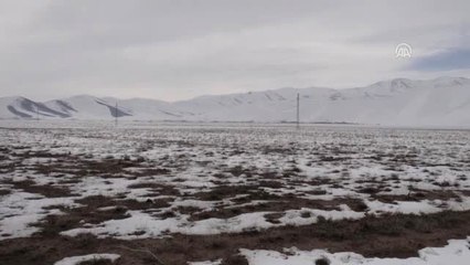 Türkiye'nin Et ve Süt Deposu Olmaya Talibiz"