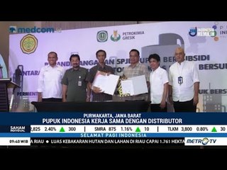 Untuk Pak Tani, Pupuk Subsidi Disalurkan ke 131 Distributor di Jabar