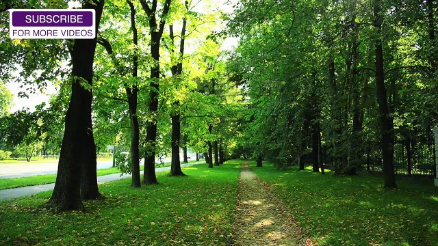 30 Minutes : Détente Pacifique De La Musique Liste De Lecture Tranquille Sommeil, Le Sommeil Profond De La Musique,