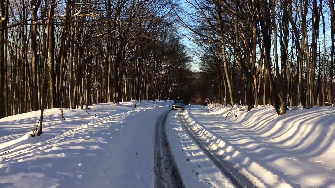 Pezo 206 -oman Srbija 2019