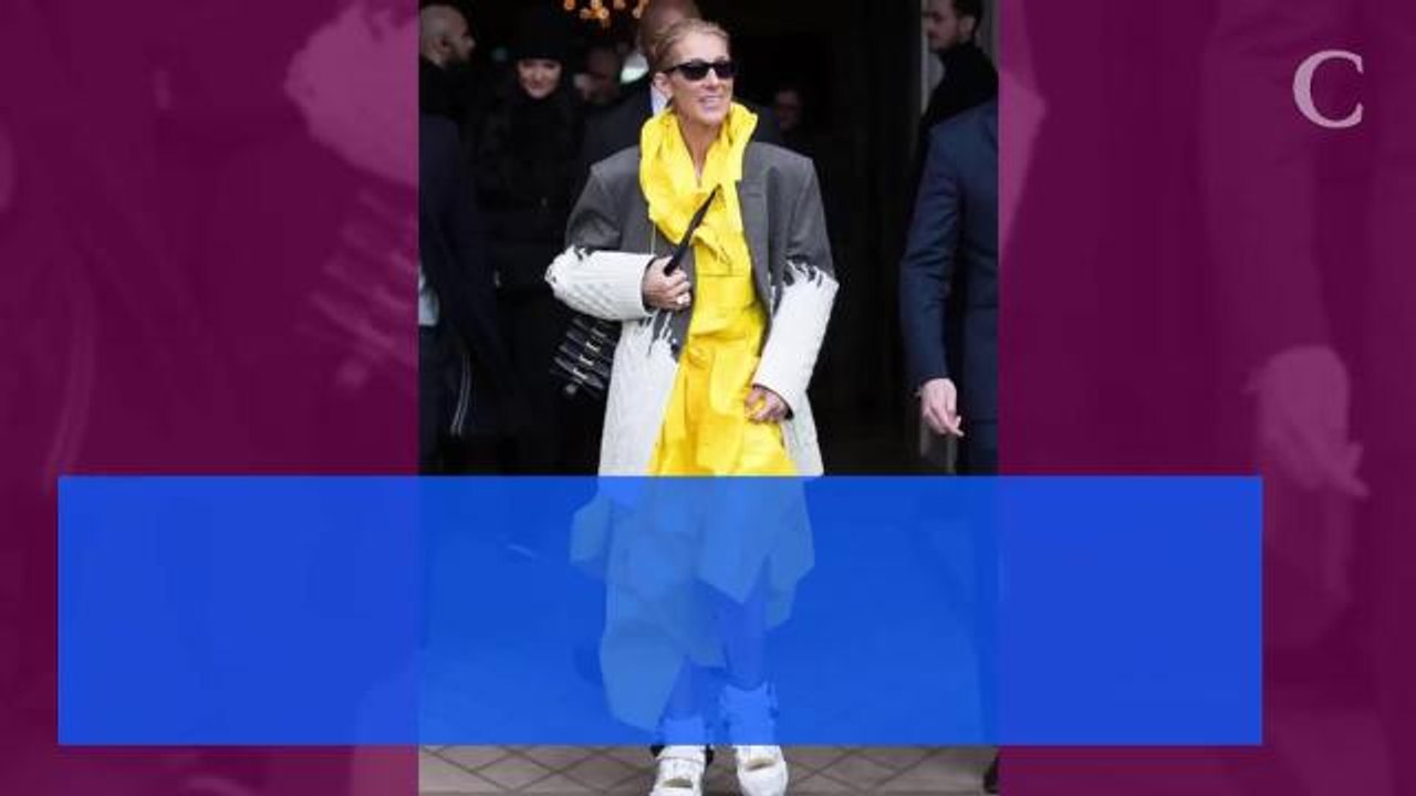 "De tout cœur avec les victimes" : Céline Dion bouleversée par l'attentat de Christchurch en Nouvelle-Zélande