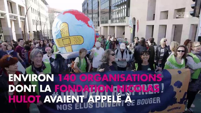 Nicolas Hulot ancien ministre : Yann Moix fracasse son engagement