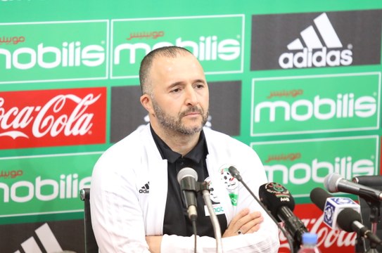 Belmadi : Conférence de presse avant Gambie et Tunisie