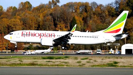 Travellers show confidence in Ethiopian Airlines: Tour operators