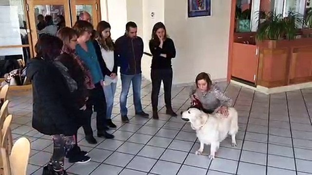 Besançon : journée de sensibilisation des professionnels du chien et de l’enfant à la relation responsable avec l’animal