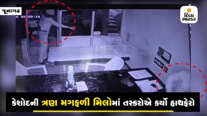 જૂનાગઢઃ કેશોદમાં તસ્કરોનો તરખાટ, મગફળીની ત્રણ મિલોમાંથી કરી લાખોની ચોરી