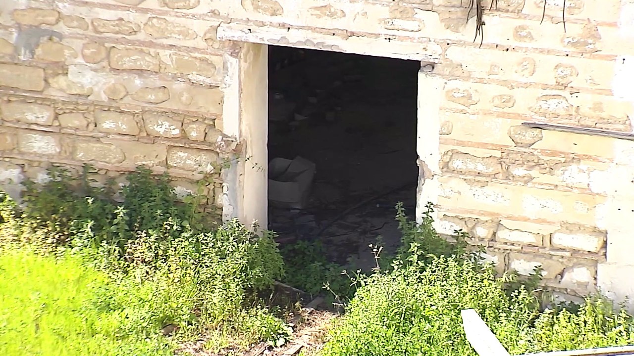 Vecinos denuncian presencia de ratas, pulgas y arañas en sus casas