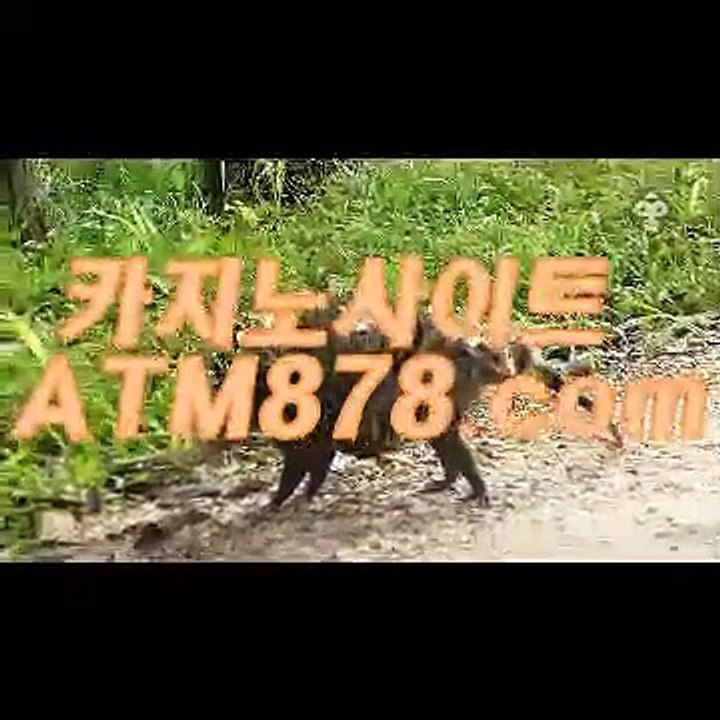 ユ태양성카지노사이트 『『S T K 4 2 4、CㅇM』』