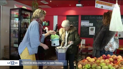 Les bienfaits de la sève de bouleau