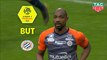 But Souleymane CAMARA (90ème +1) / Olympique Lyonnais - Montpellier Hérault SC - (3-2) - (OL-MHSC) / 2018-19