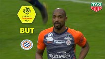 But Souleymane CAMARA (90ème  1) / Olympique Lyonnais - Montpellier Hérault SC - (3-2) - (OL-MHSC) / 2018-19