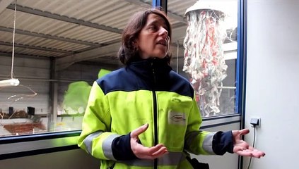 Les métiers ont-ils un sexe