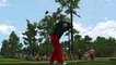 Tiger Woods PGA Tour 10 - Eagle