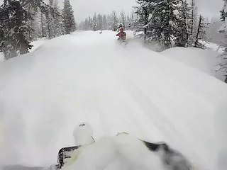 Il se fait complètement avaler par la neige