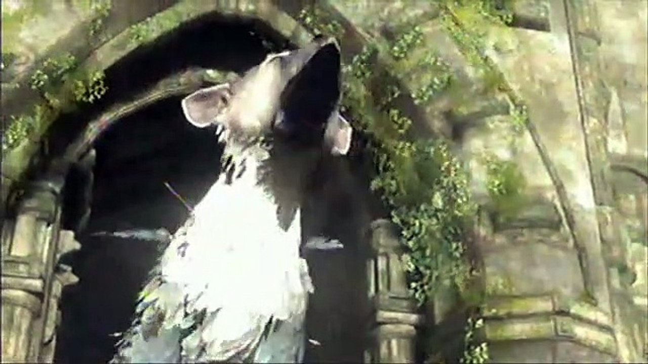 The Last Guardian - Debut