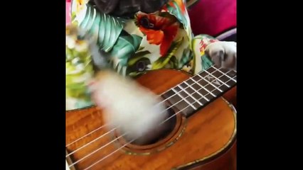 CrAzY Cubes! ! ! | YLYL  | Nice C.U.B.E.S