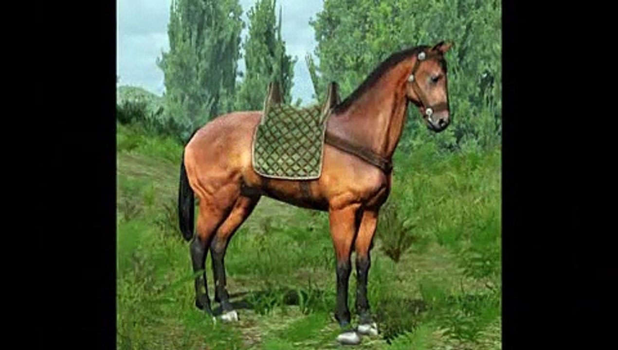 Mount and Blade - Ponencia