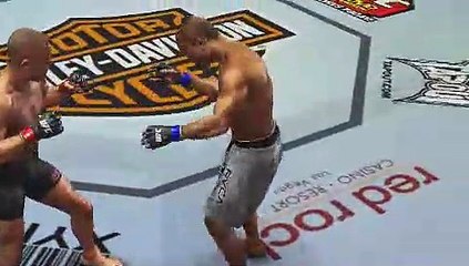 UFC 2009 - Combate (4)