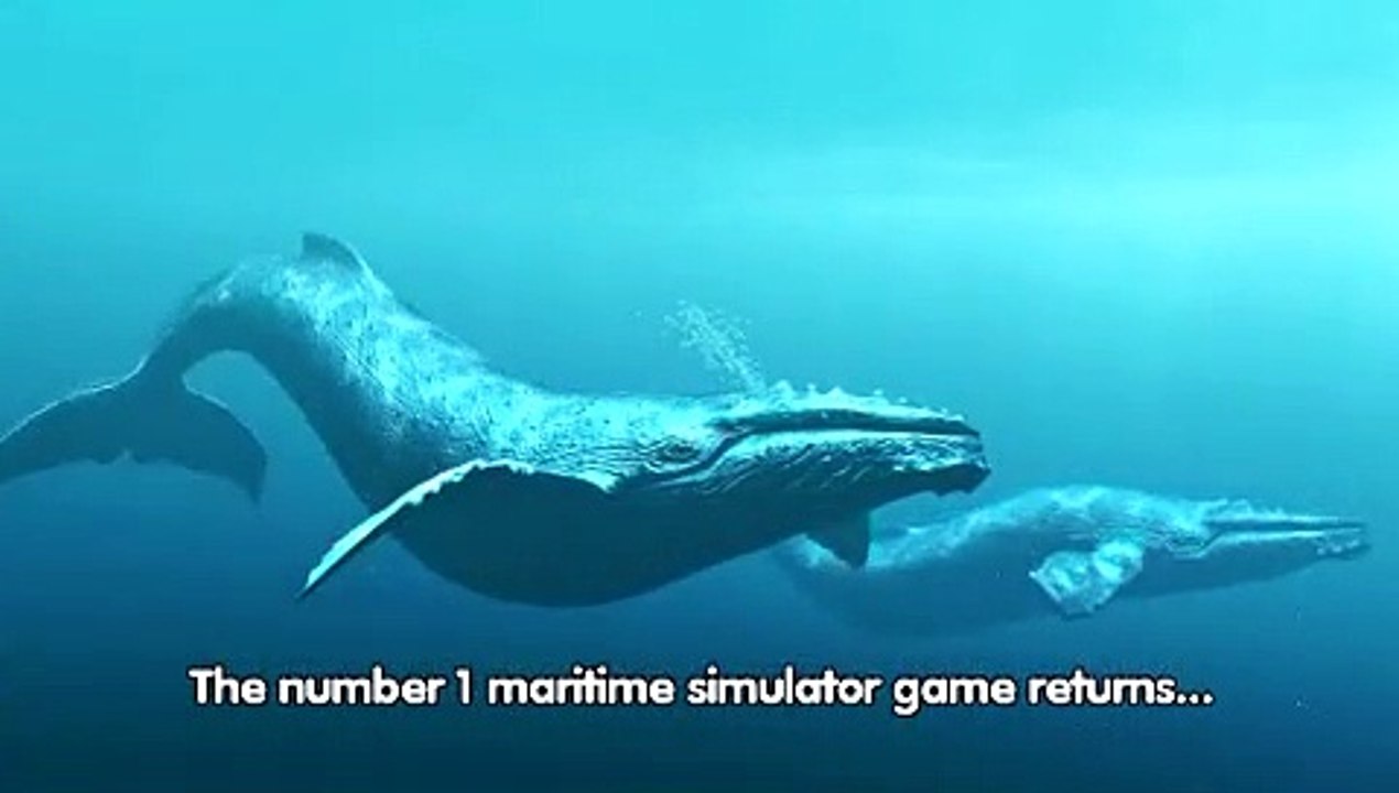 Ship Simulator 2010 Extreme - Debut
