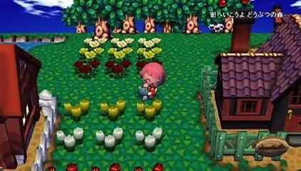 Animal Crossing: Let&apos;s Go To The City - Características