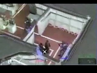 SWAT Target Liberty - PSP