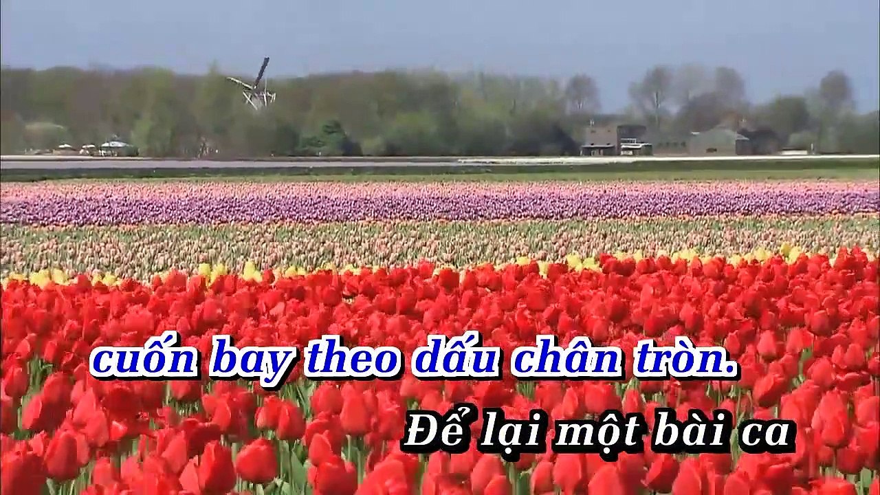 VetChanTronTrenCat-DamVinhHung-kok